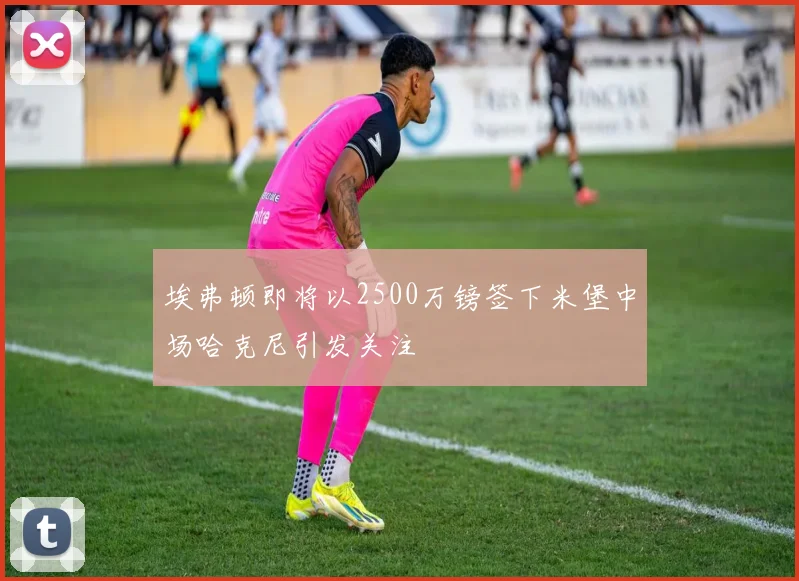 埃弗顿即将以2500万镑签下米堡中场哈克尼引发关注
